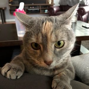 Meet your Posher, Jason